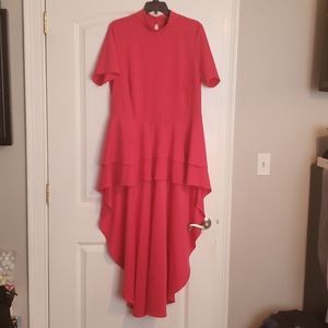 Ashley Stewart Woman Size 18/20 Top